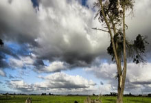 巴萨vs皇马即将对决，这场世纪德比最终比分会是多少？